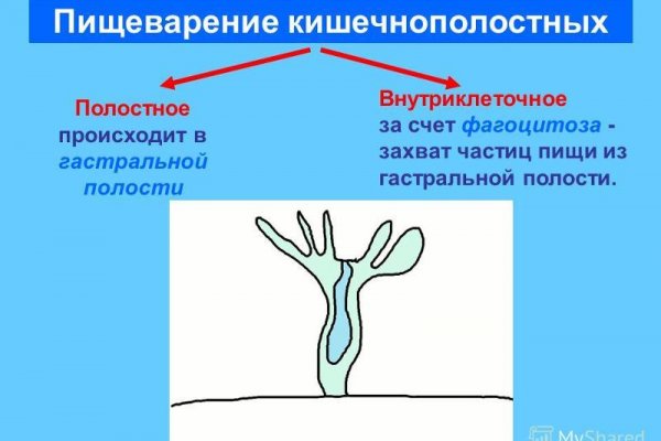 Взломанный аккаунт кракен