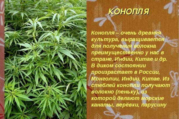 Где взять ссылку на кракен