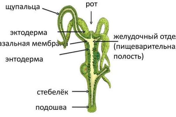 Ссылка официальный сайт кракен